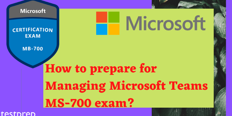 Exam MB-700 Learning