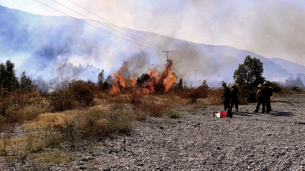 El SNMF recordó que el 95% de los incendios forestales se producen por acción humana.