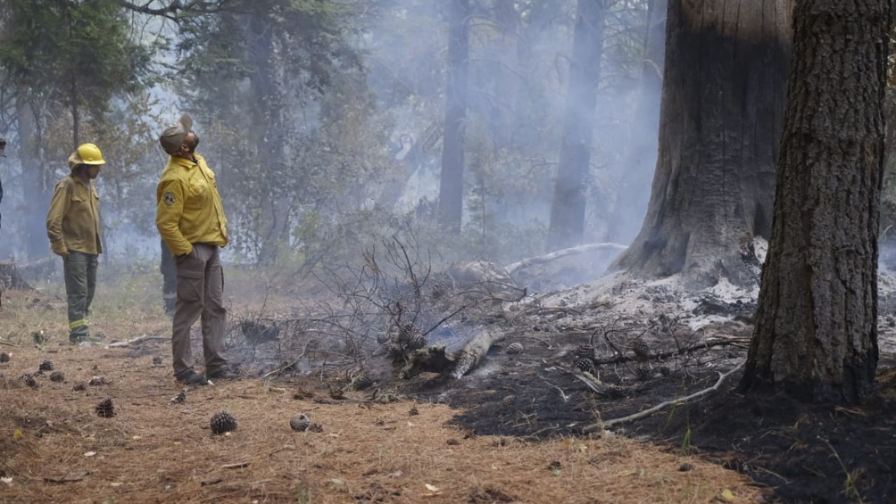 Hubo grandes destrozos en la zona a causa de los incendios,
