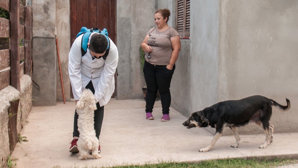 Las mascotas de "Nachito" le dan la bienvenida.