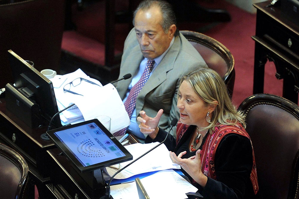 La diputada Negre de Alonso, solicitó que "cese el estado de incertidumbre en el ámbito provincial".