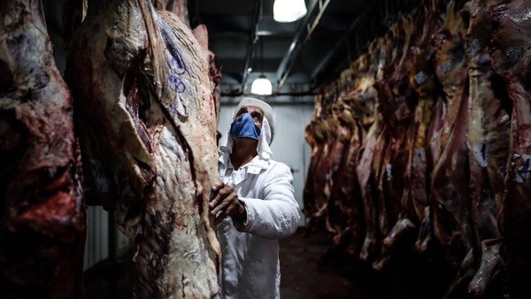 Rulo cárnico: suspenden a 15 empresas exportadoras de carne por evadir controles