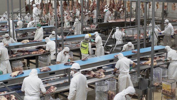Cada vez hay menos empresas exportadoras y crece la ofensiva del Gobierno