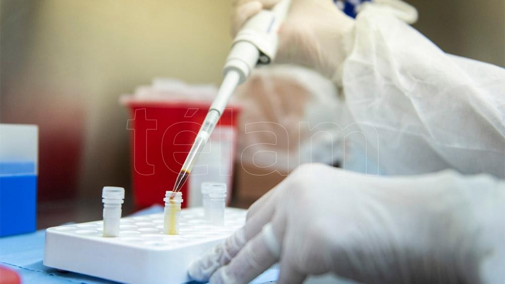El Instituto Malbrán, dependiente del Ministerio de Salud de la Nación, desestimó la existencia de una "Cepa Buenos Aires" del virus Sars CoV-2
