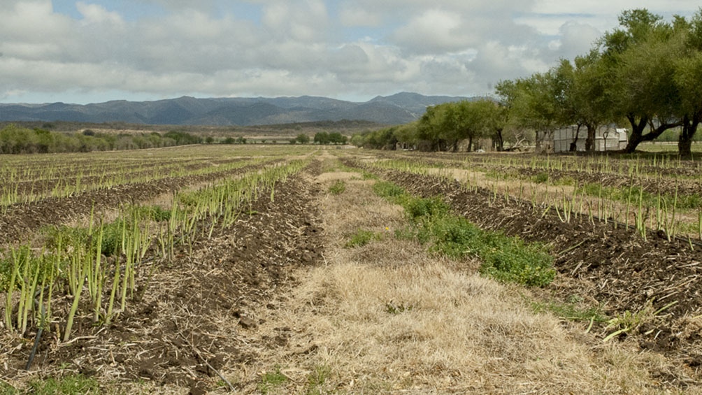En 2020 el episodio de La Niña impactó con gran escasez de precipitaciones en extensas áreas del país.