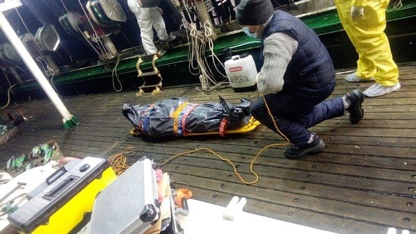 Coronavirus: las muertes golpean a los trabajadores esenciales y los gremios presionan por vacunas