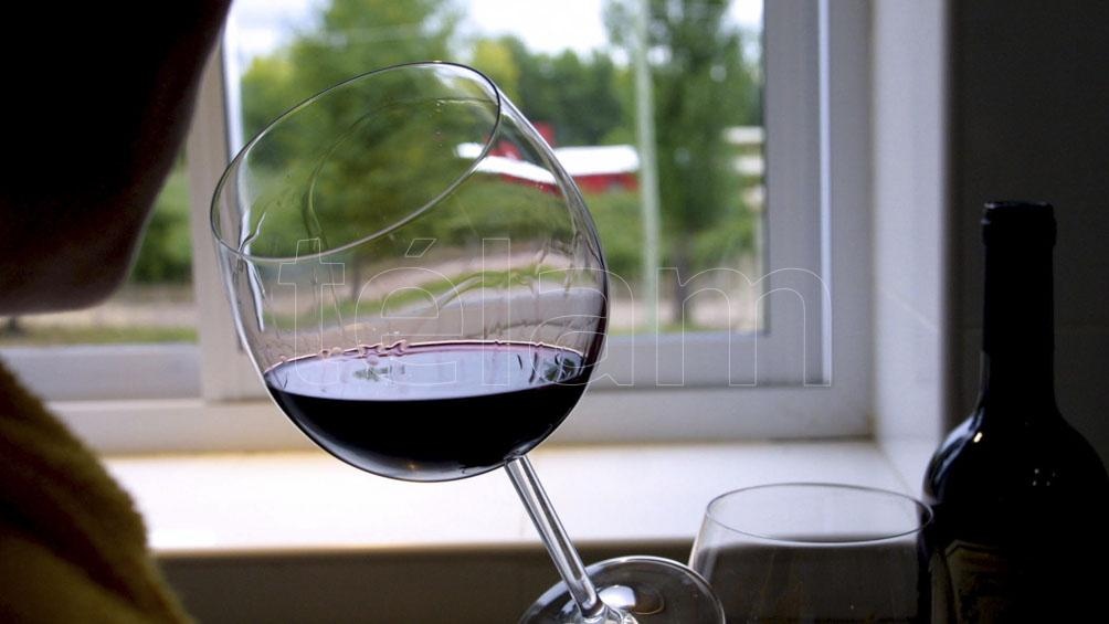 Investigadoras de la UNT, desarrollan "bacterias lácticas" para reducir la acidez y mejorar el aroma de los vinos tintos.