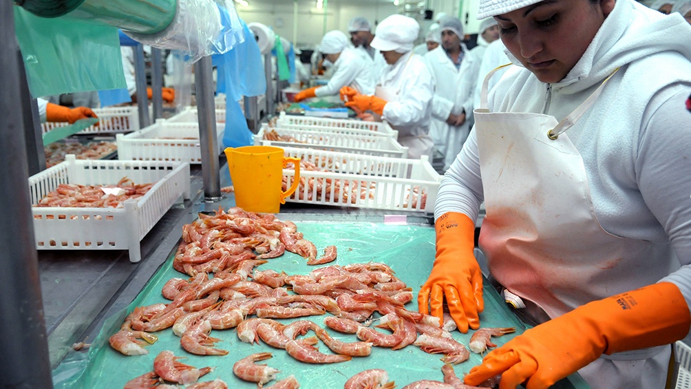 La embajada argentina en Brasilia activó el año pasado sus reclamos ante el Supremo Tribunal Federal para superar una medida cautelar que frenaba la exportación a Brasil del langostino argentino