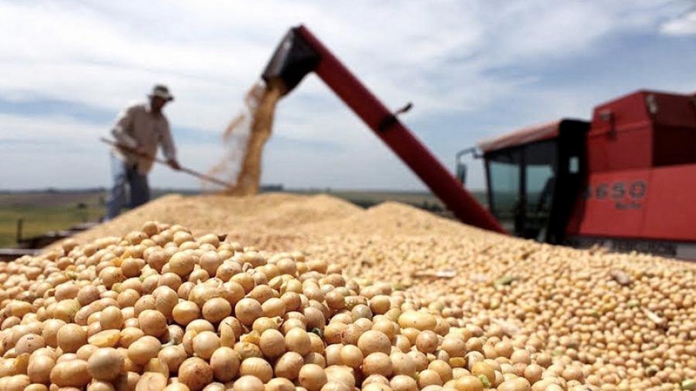 Según el Ministerio de Agricultura, hasta marzo las exportaciones de harina y aceite de soja sumaron US$ 4.524 millones.