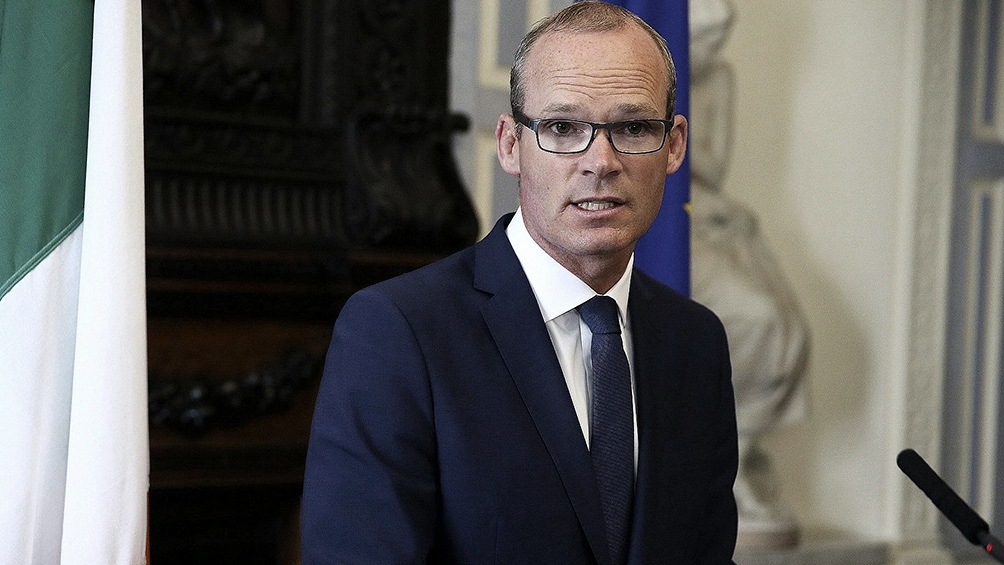 El canciller irlandés dijo que la moción era "una clara señal de la profundidad de los sentimientos en Irlanda"