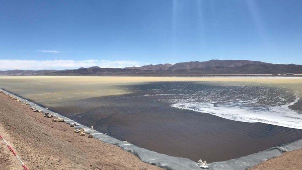 La fiebre del litio: una minera china levantará una fábrica de baterías en Jujuy