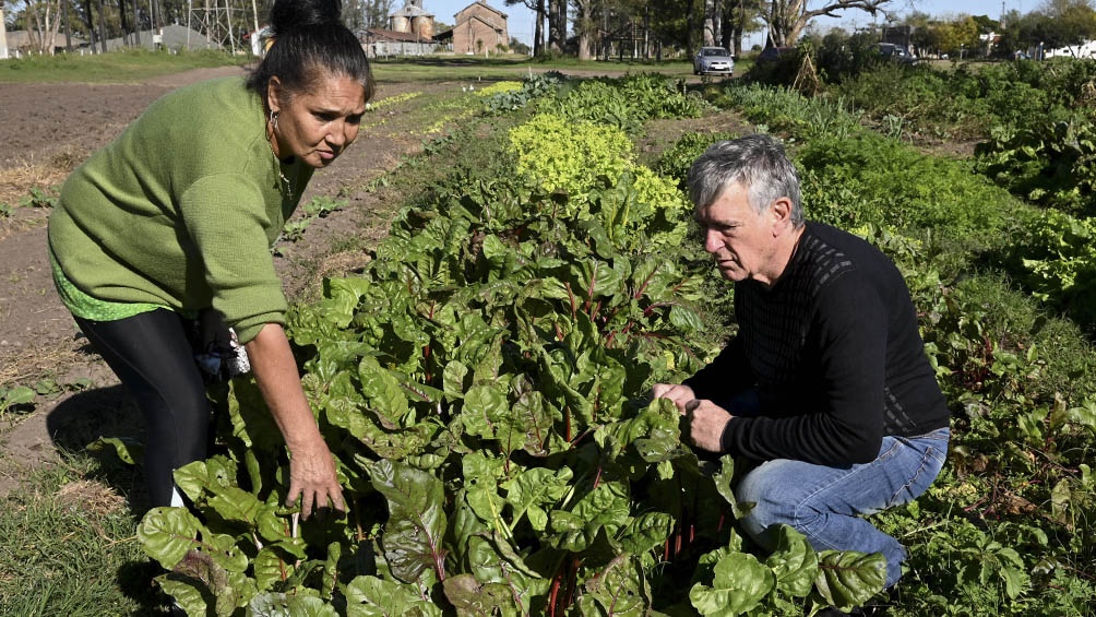 La Ley de Agricultura Familiar dispone la creación de un Banco de Tierras para la agricultura familiar.