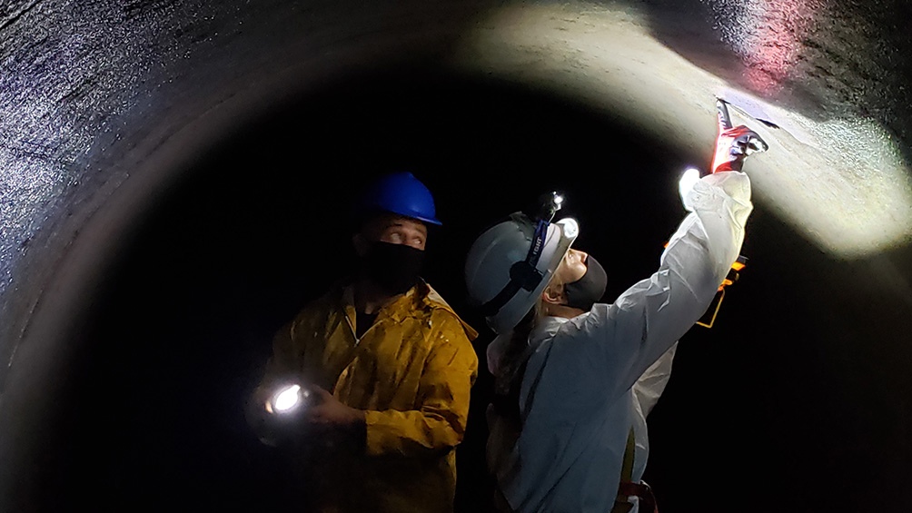 Entre los trabajos realizados, se encuentran tareas en el reactor.