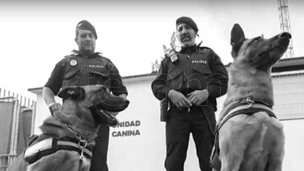 Chonino, el ovejero alemán en cuyo honor se conmemora el Día Nacional del Perro.