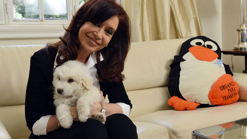 La vicepresidenta Cristina Fernández de Kirchner hace unos años con Simón, un cachorro mucuchí, la raza nacional de Venezuela.