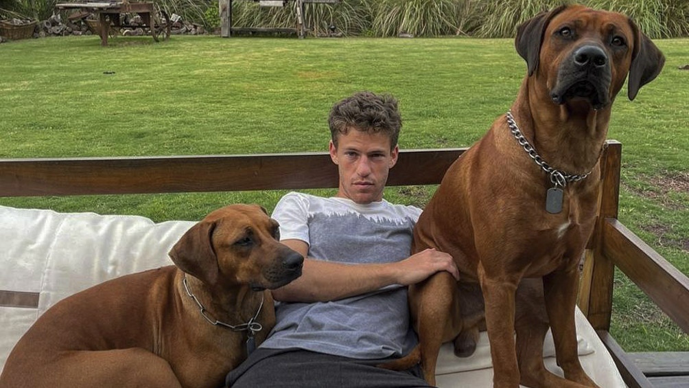 Diego Schwartzman tiene dos perros para nada "peques": Bob y Ziggy -claro homenaje al jamaiquino Marley-, hermosos ejemplares de la raza Rodhesian ridgeback.