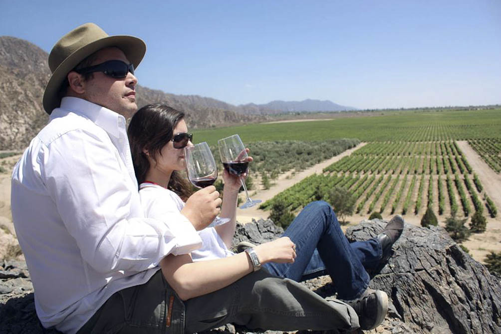 El sector vitivinícola confía en la potencia del turismo para recuperarse