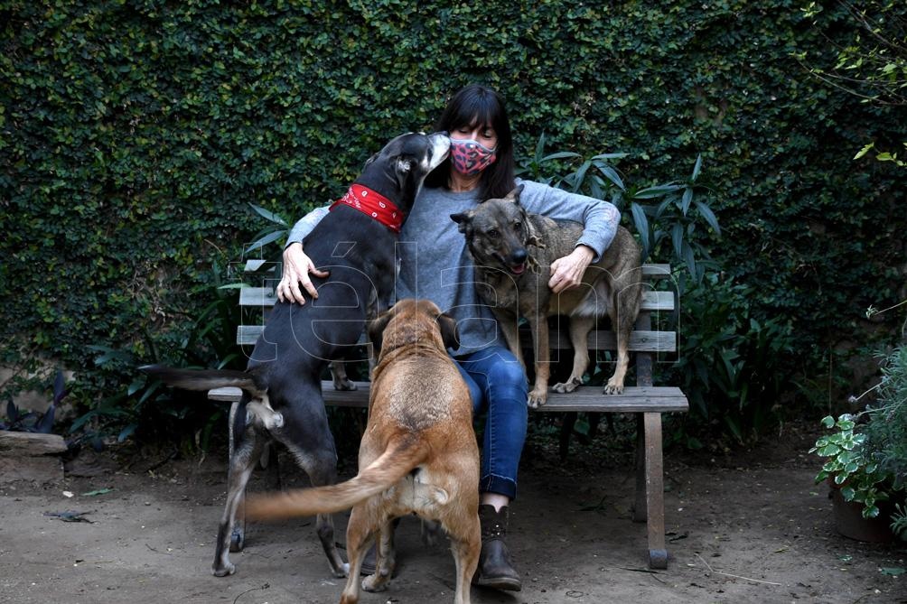 Alejandra Condoleo es integrante de la ONG Todo por Ellos. En su casa de Boulogne vive con sus cinco perros rescatados.