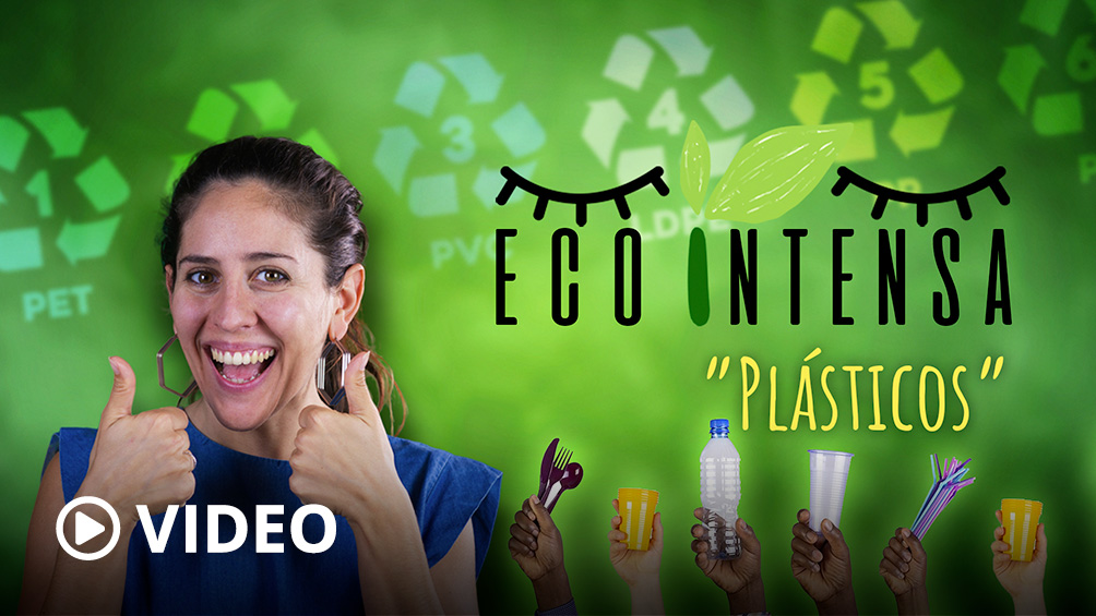 ¿Qué hago con los plásticos?