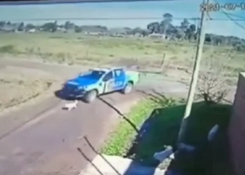 HIJOS DE P…DROGADOS: policías de Zárate atropellaron un perro intencionalmente