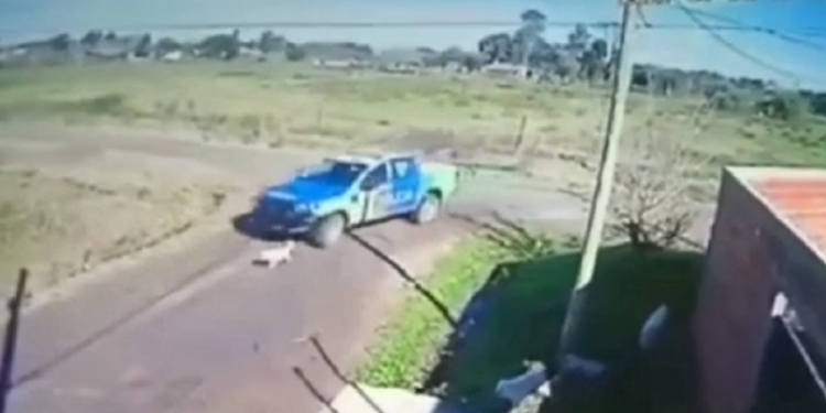 HIJOS DE P…DROGADOS: policías de Zárate atropellaron un perro intencionalmente