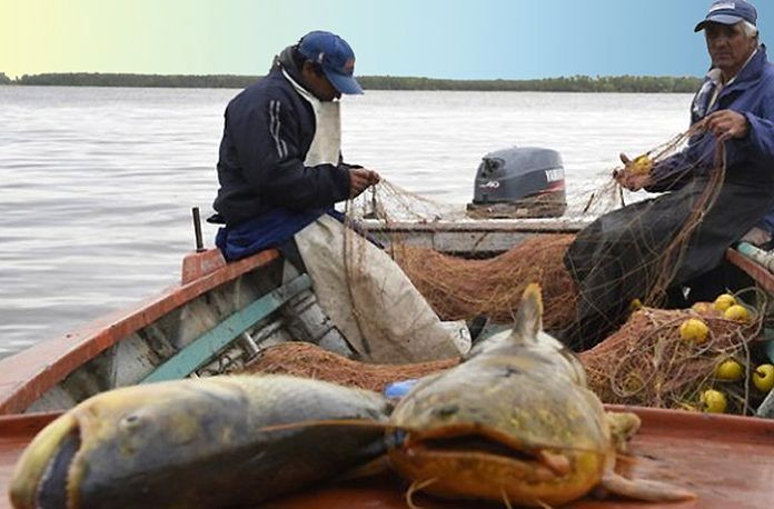 Chaco flexibiliza la veda a la pesca deportiva y comercial