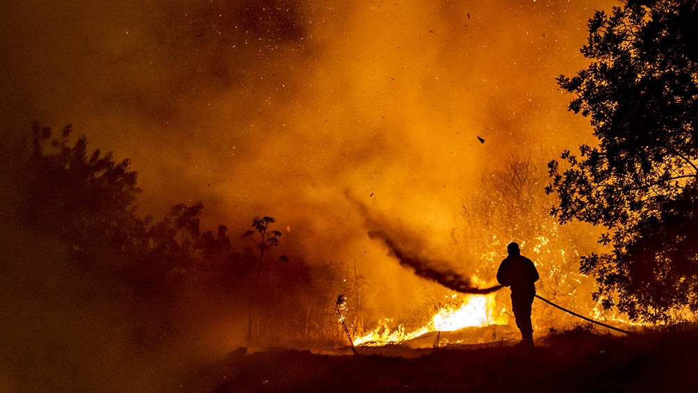 Cuatro cuerpos carbonizados fueron descubiertos cerca del pueblo de Odos