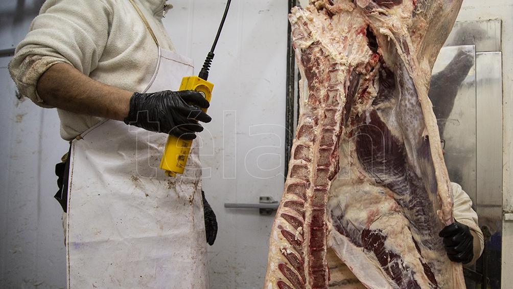 Se detectaron irregularidades en el 90% de los mayores frigoríficos controlados. Foto: Leo Vaca.