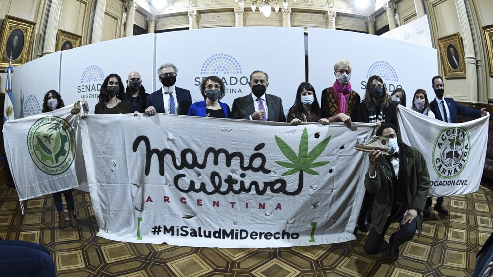 El proyecto de ley que establece un marco regulatorio de la cadena de producción, industrialización y comercialización de la planta de cannabis.