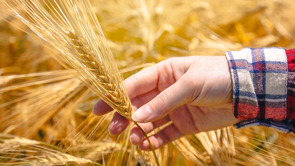 Otero asegura que "los sistemas agroalimentarios cada vez tienen que ser mas sostenibles, prestar más atención a los consumidores y a la inclusión de los pequeños agricultores".
