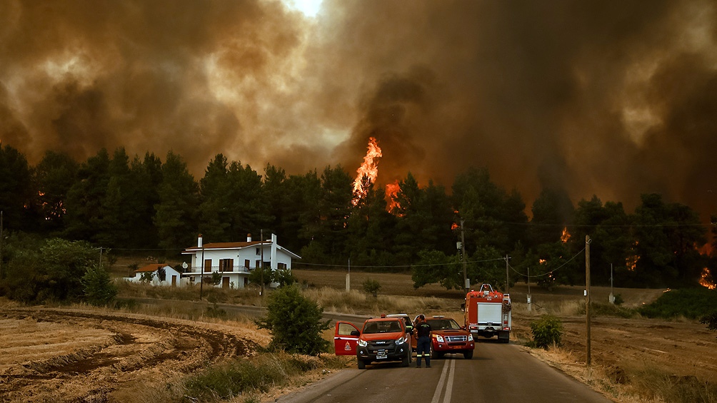 En total, del 29 de julio al 12 de agosto, 100.874 hectáreas ardieron en Grecia. Foto: AFP