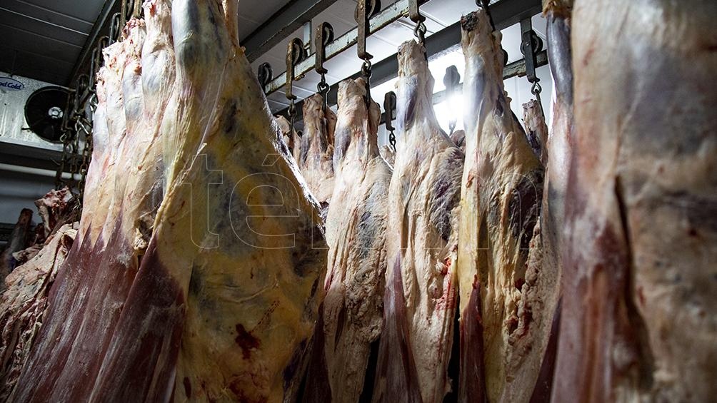 El esquema de exportaciones para carne vacuna se estableció a fines de junio con el Decreto 408/2021, con un cupo de hasta el 50% del volumen mensual promedio exportado en 2020. Foto: Leo Vaca, Télam.