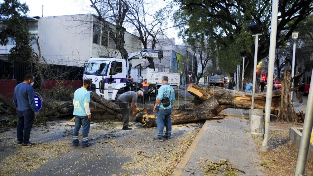 El pasado miércoles, el mismo fenómeno afectó con fuertes ráfagas el Gran Mendoza y causó caídas de árboles. Foto: Alfredo Ponce