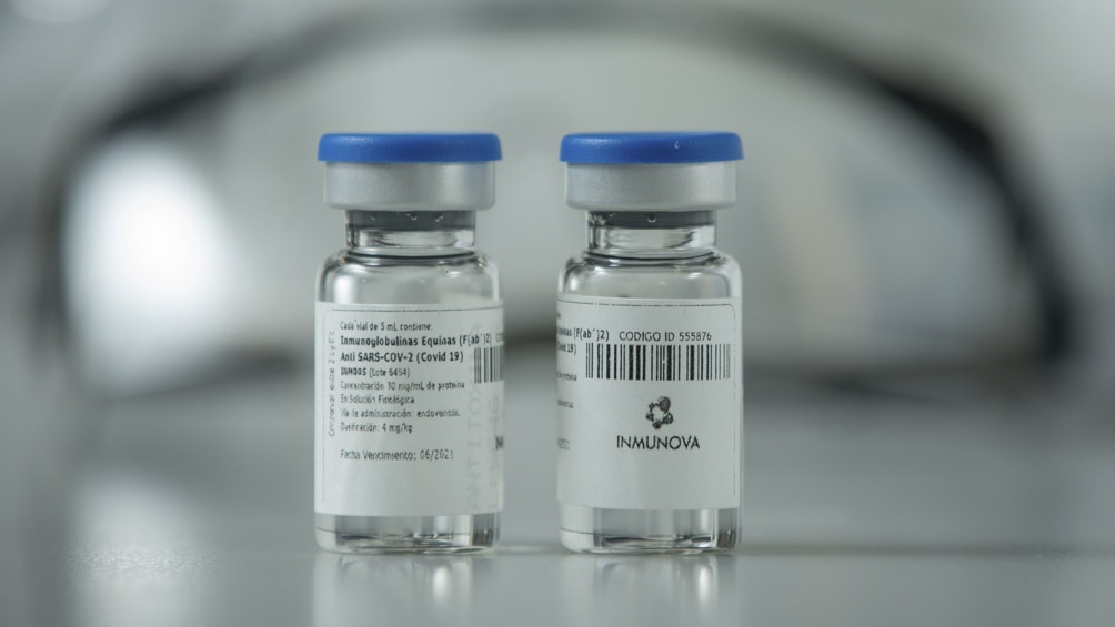 El suero podría fabricarse a gran escala y transformarse en el primer medicamento argentino para enfrentar la pandemia.