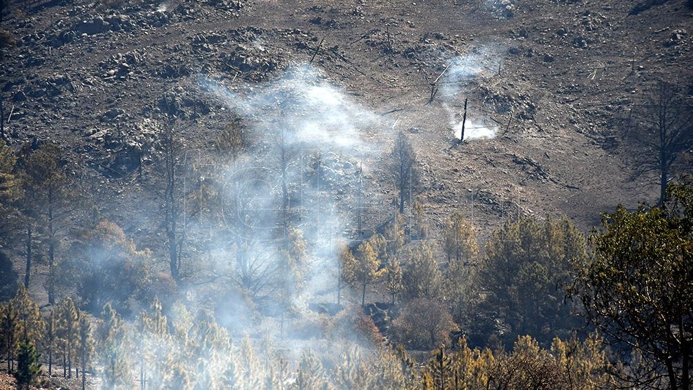 El incendio arrasó con más de 50 cabañas del complejo conocido como Potrerillo Pueblo de Montaña. Foto: Gabriela Lescano.