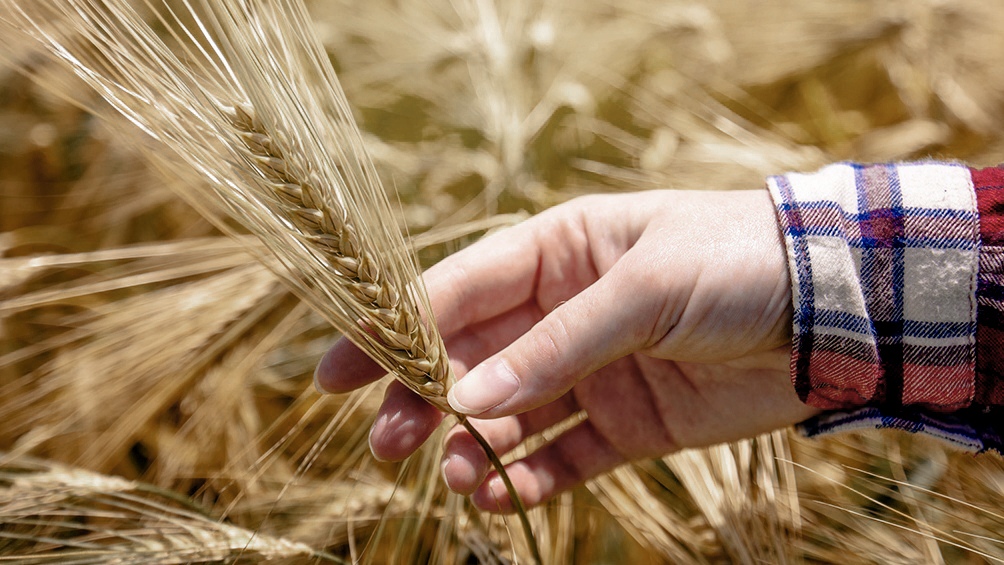 Manuel Otero: "La región está llamada a ser garante de la seguridad alimentaria" del planeta.