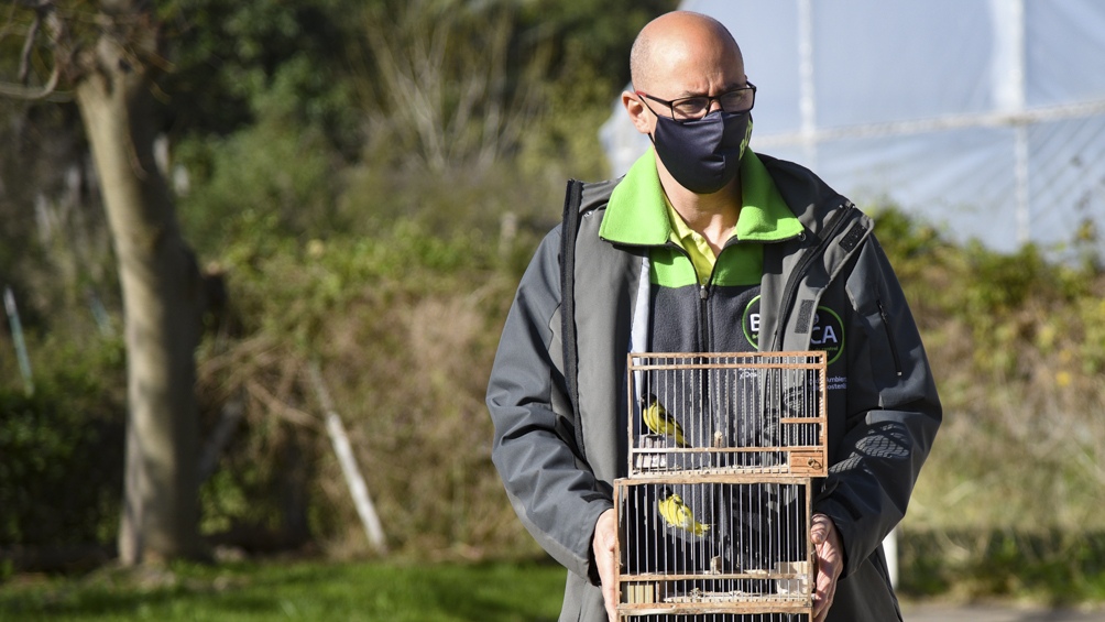 Las aves fueron llevadas al Centro de Rescate de Fauna Silvestre, del Ecoparque.