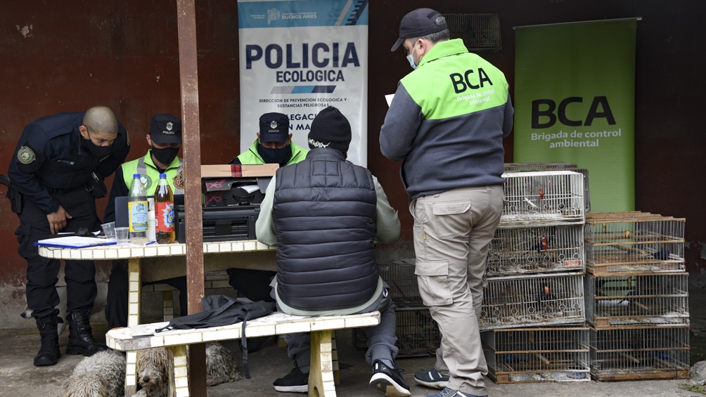 Rescataron aves silvestres en la localidad bonaerense de Del Viso.