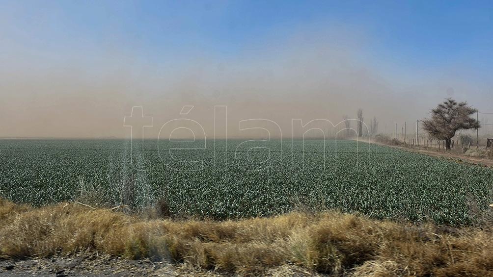 El viento Zonda causó incendios Foto: Ruben Paratore