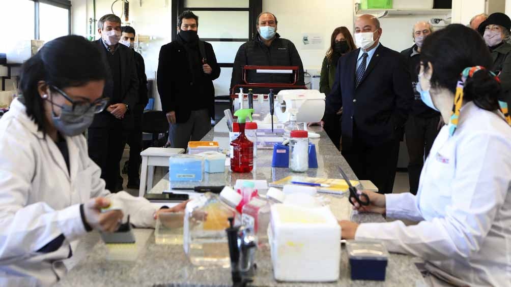 Ambos proyectos fueron presentados por investigadores del Conicet en asociación con otras instituciones del sistema científico-tecnológico nacional.