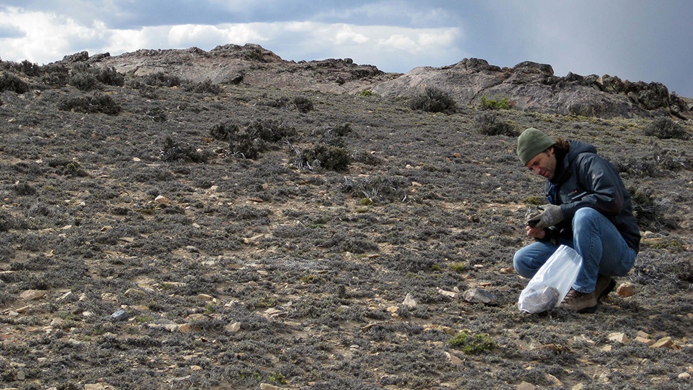 En el Macizo del Deseado, se hallaron 23 localidades de depósitos geotermales fósiles.