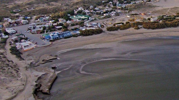 Insólita pelea entre dos concejalas de Puerto Pirámides porque el pitbull de una atacó y mató al gato de otra