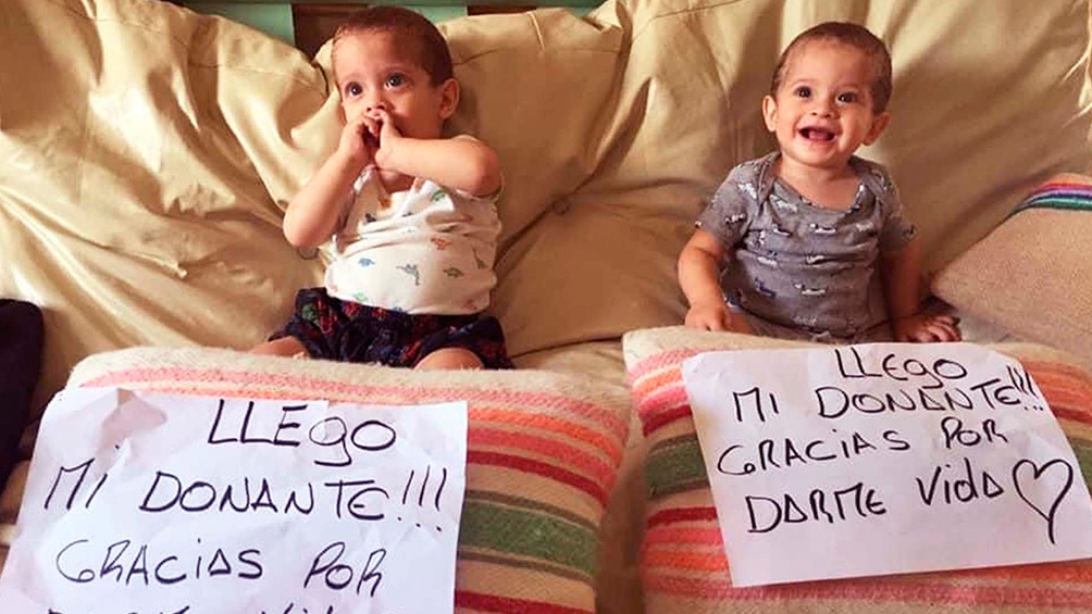 Un comunicado del Incucai especificó que “la donación de médula se rige por la solidaridad internacional.