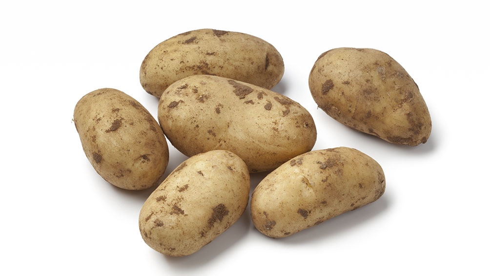 SCP aumentará en Mar del Plata un 60% las exportaciones de productos de papa congelados.