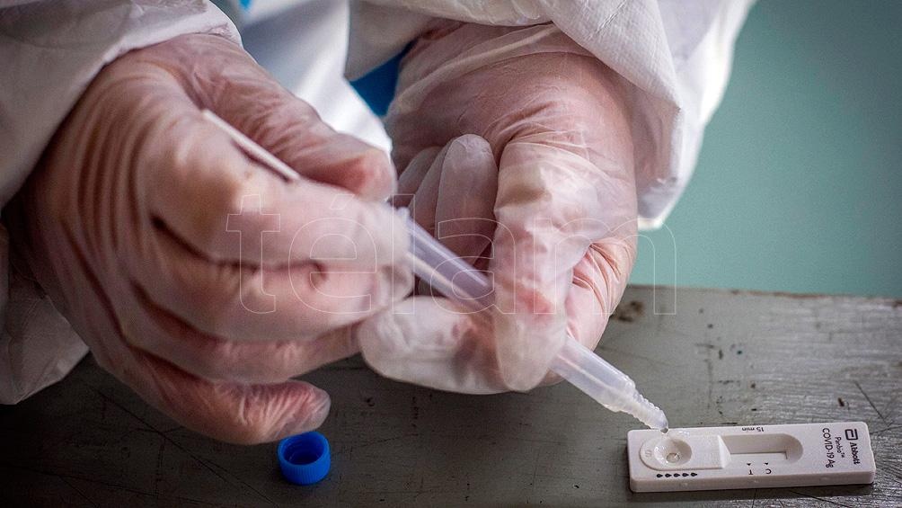 Los especialistas consultados por Télam coinciden en que "las chances de un falso negativo son menores cuanto más cerca del inicio de síntomas se testea".