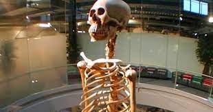 Los restos desenterrados en un pueblo de Ecuador que habrían pertenecido a gigantes de 7 metros