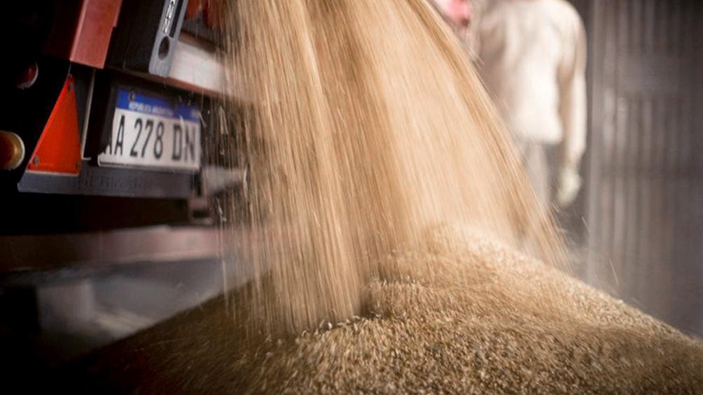 El trigo pasó a liderar la suba de precios de los commodities agrícolas en el mercado de Chicago en los últimos meses.