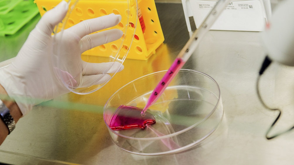 Filmus destacó que "el regreso al país de investigadores e investigadoras para incorporarse a la carrera del Conicet.