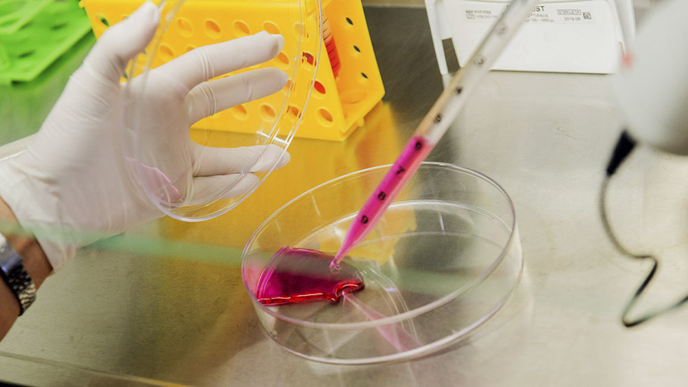 El Conicet incorporará a 30 investigadores e investigadoras que regresarán del exterior