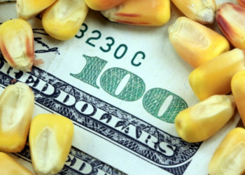 A lo Moreno, el Gobierno habilitó un cupo para la exportación de maíz: qué empresas se anotaron